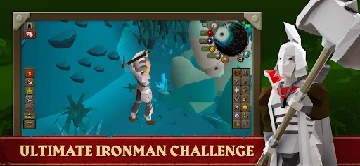 Old School RuneScape screenshot 6